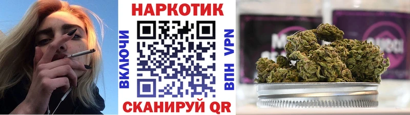 Купить Аргун Галлюциногенные грибы  Гашиш 