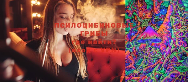 спайс Алзамай