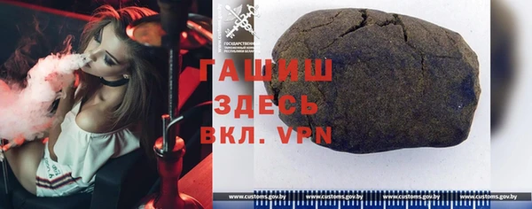 гашик Алексин