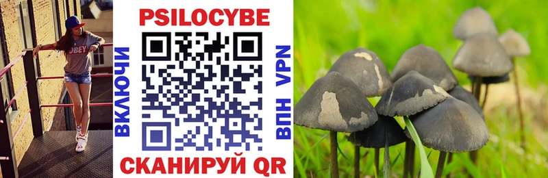Псилоцибиновые грибы MAGIC MUSHROOMS  Аргун 