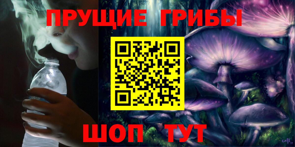 Аргун  Галлюциногенные грибы Cubensis  Вход с VPN 